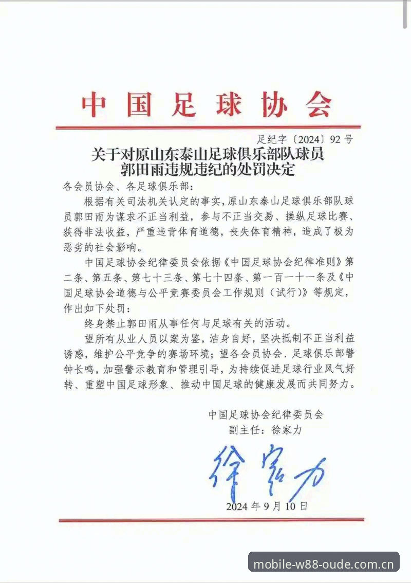 中国足协第三批禁足名单公布：17人终身禁赛，48人遭重罚的4大焦点